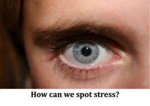 How can we spot stress?